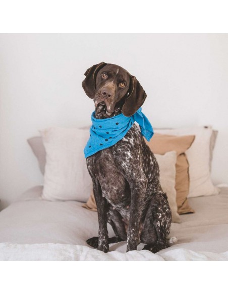 Fées et Pirates - Lange Bianca Panda bleu grec (M) - Rose in April