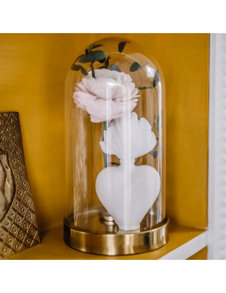 Romane Hostie - Coeur en Cire - Fées et Pirates