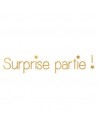SURPRISE PARTIE !